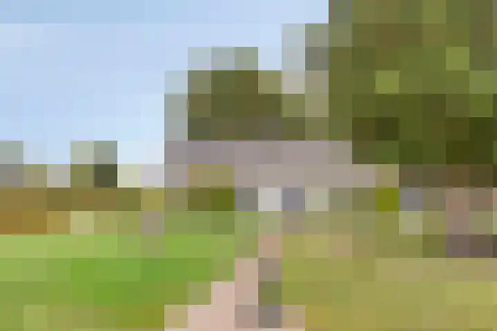 Berg 7 Budel thumbnail 10