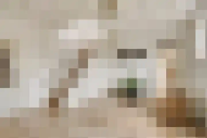 Berg 7 Budel thumbnail 11