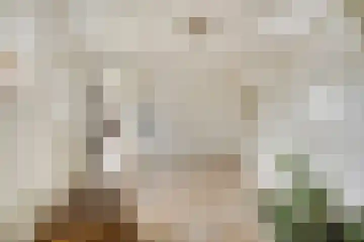 Berg 7 Budel thumbnail 12