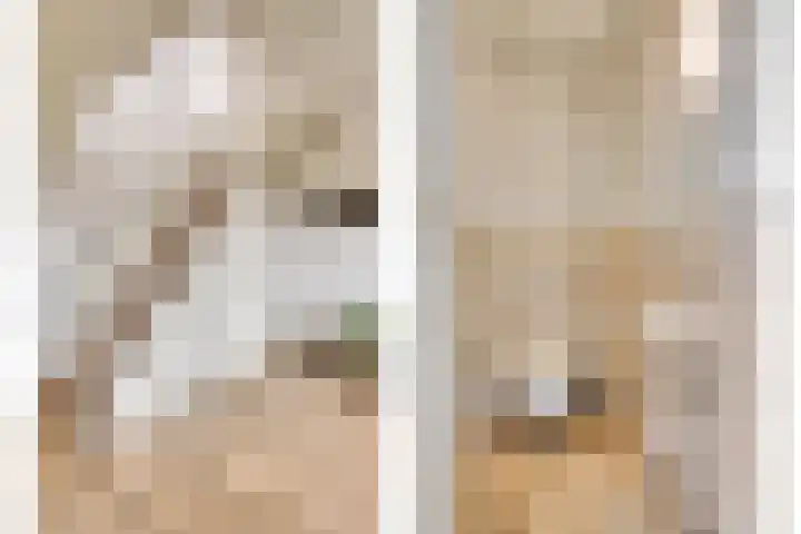 Berg 7 Budel thumbnail 13