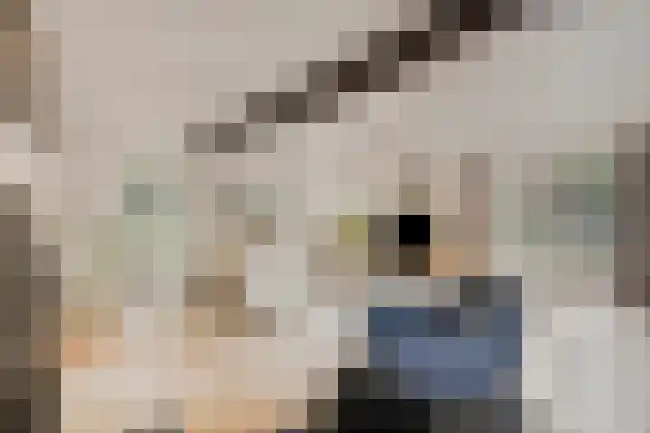 Berg 7 Budel thumbnail 15