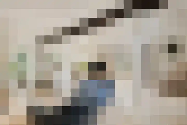 Berg 7 Budel thumbnail 16