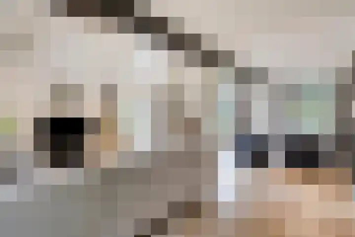 Berg 7 Budel thumbnail 18