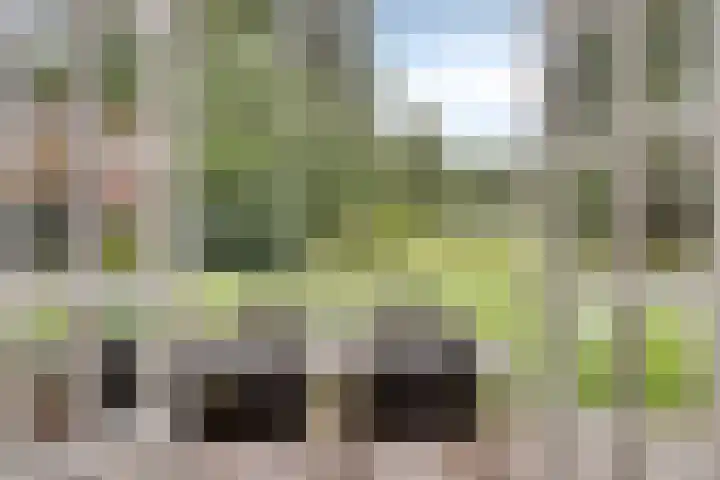 Berg 7 Budel thumbnail 19