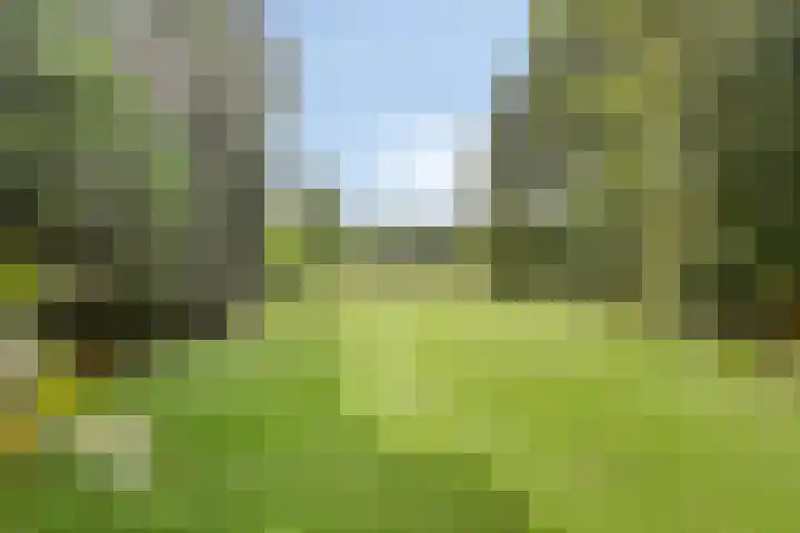 Berg 7 Budel foto 2