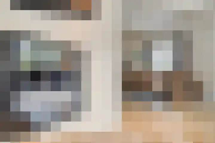 Berg 7 Budel thumbnail 20