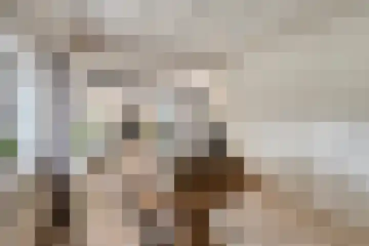 Berg 7 Budel thumbnail 22