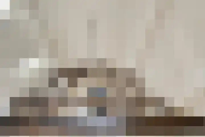 Berg 7 Budel thumbnail 24