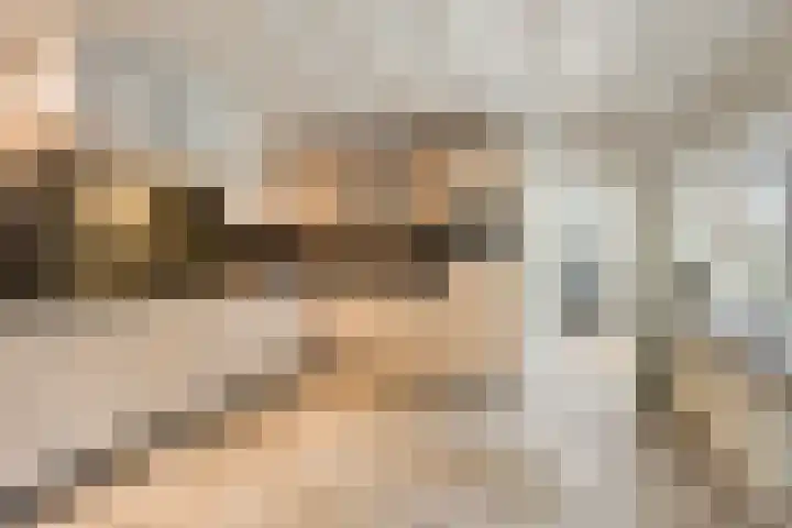 Berg 7 Budel thumbnail 25
