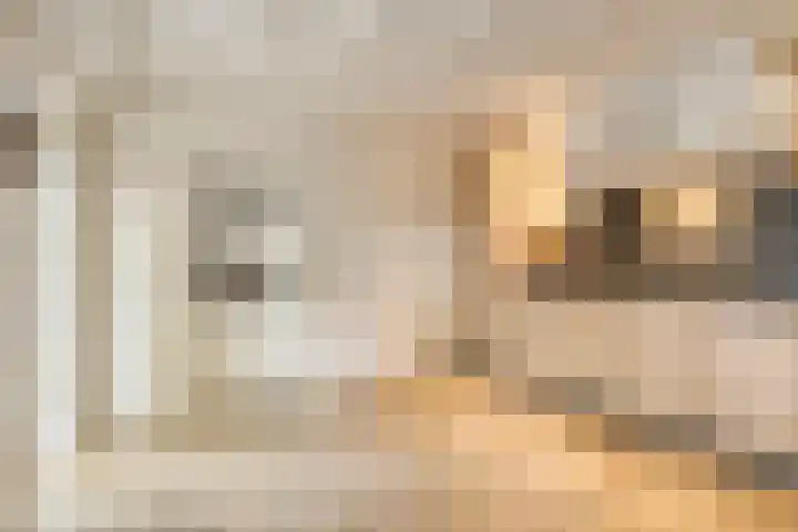 Berg 7 Budel thumbnail 27
