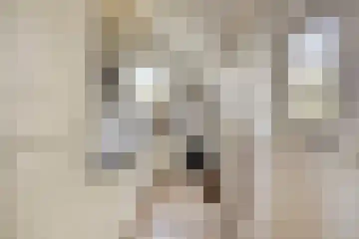 Berg 7 Budel thumbnail 28