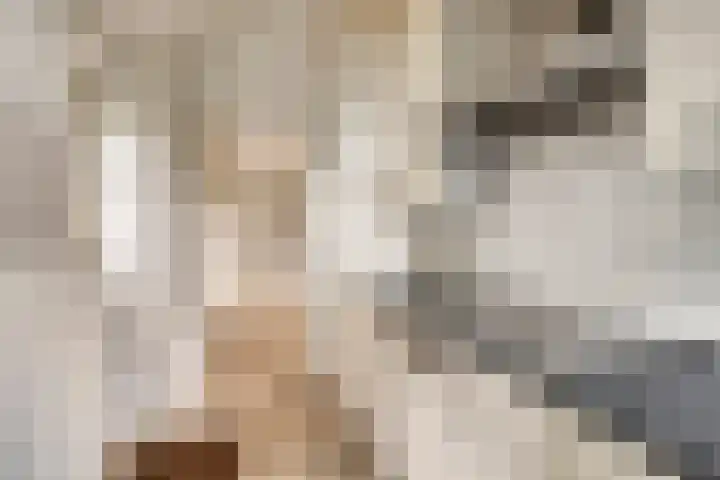 Berg 7 Budel thumbnail 29