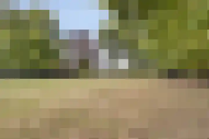 Berg 7 Budel foto 3