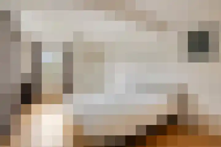 Berg 7 Budel thumbnail 30