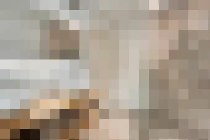 Berg 7 Budel thumbnail 34