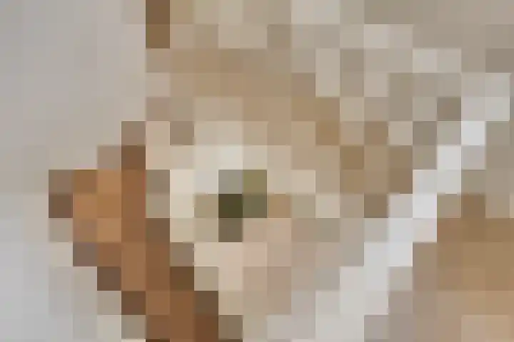 Berg 7 Budel thumbnail 36