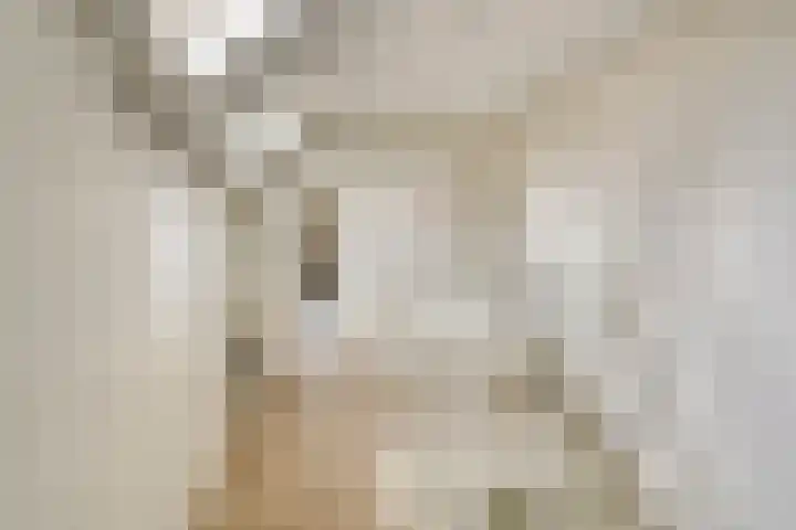 Berg 7 Budel thumbnail 37