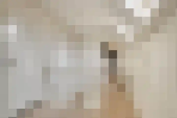 Berg 7 Budel thumbnail 38