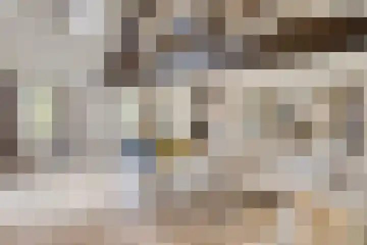 Berg 7 Budel thumbnail 4
