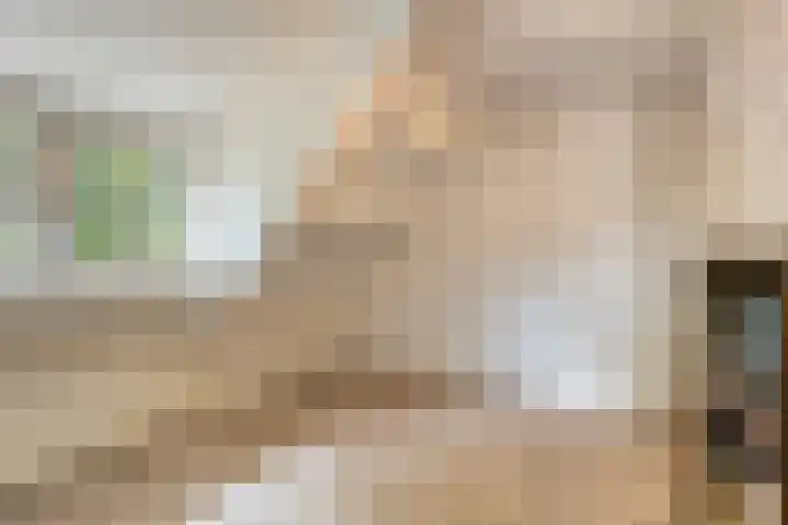 Berg 7 Budel thumbnail 41