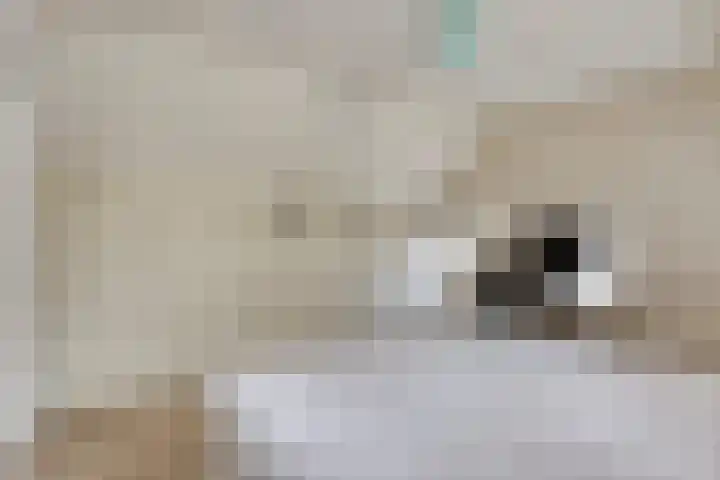 Berg 7 Budel thumbnail 43