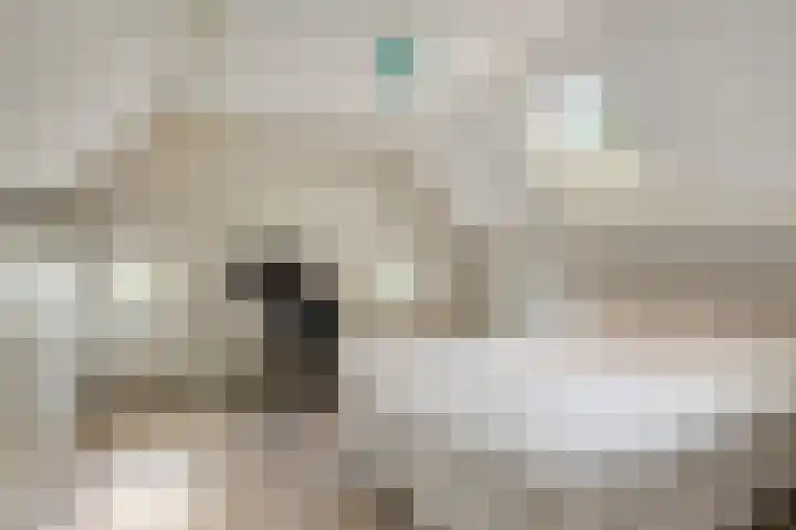 Berg 7 Budel thumbnail 44