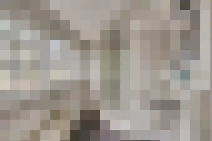 Berg 7 Budel thumbnail 45
