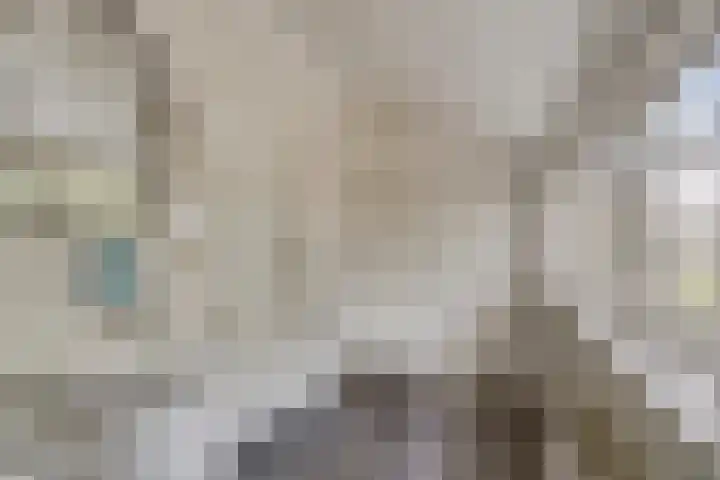 Berg 7 Budel thumbnail 46