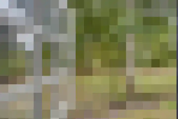 Berg 7 Budel thumbnail 47
