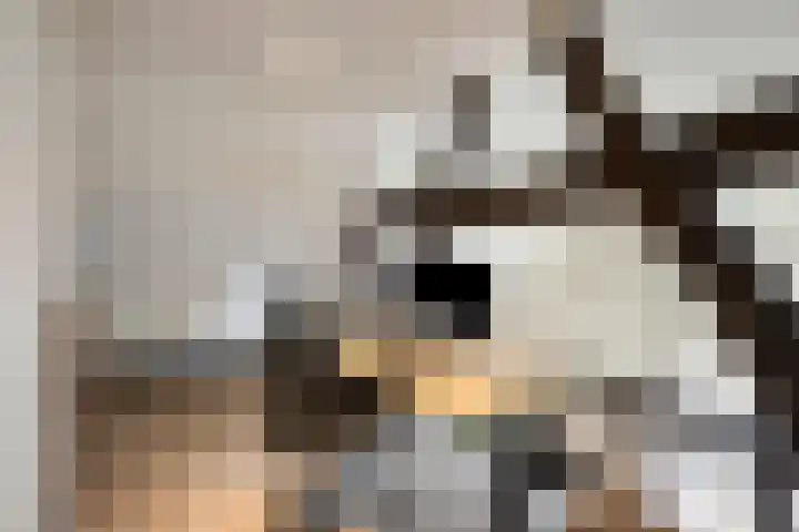 Berg 7 Budel thumbnail 48