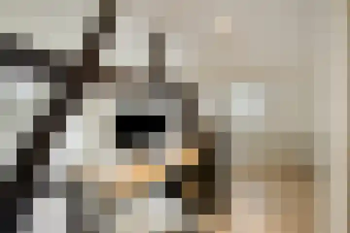 Berg 7 Budel thumbnail 49