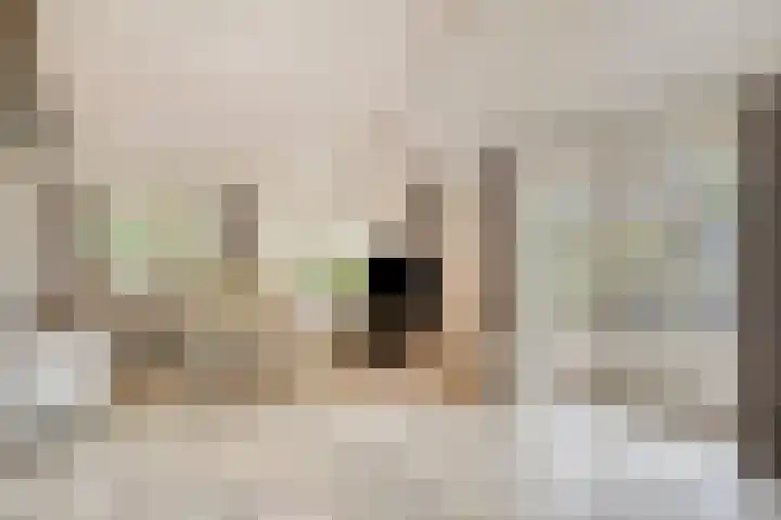 Berg 7 Budel thumbnail 5