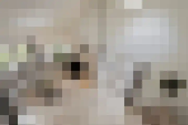Berg 7 Budel thumbnail 51
