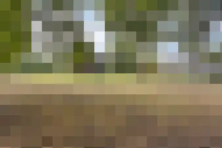 Berg 7 Budel thumbnail 52