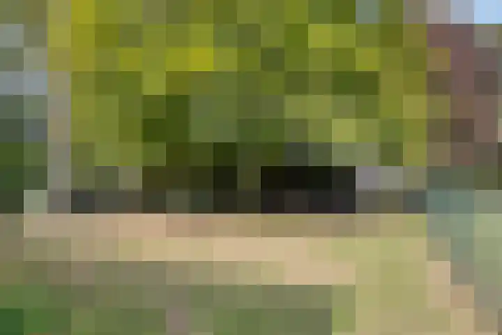 Berg 7 Budel thumbnail 53