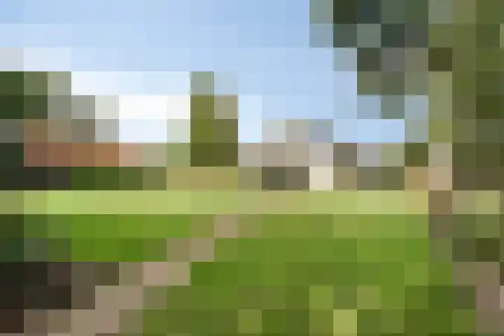 Berg 7 Budel thumbnail 54