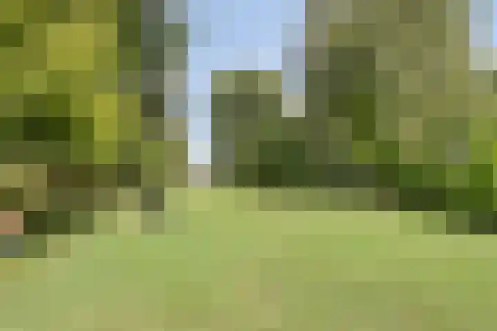 Berg 7 Budel thumbnail 55