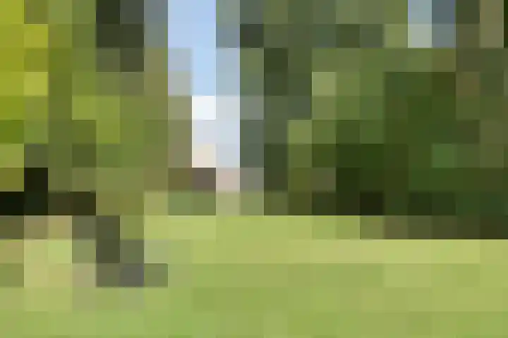 Berg 7 Budel thumbnail 56