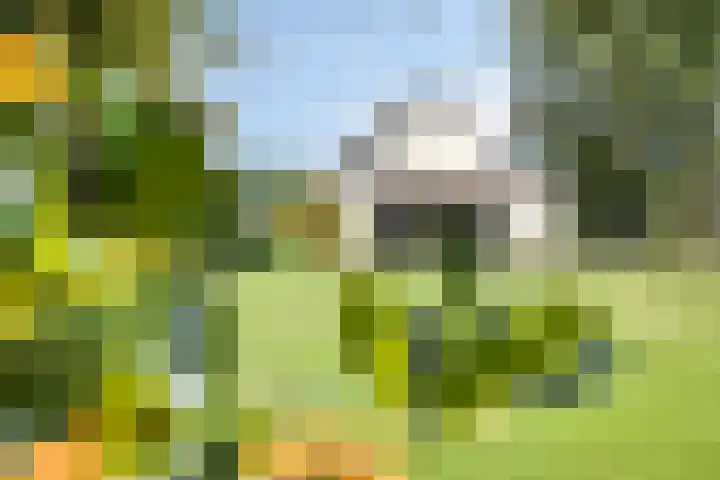 Berg 7 Budel thumbnail 57