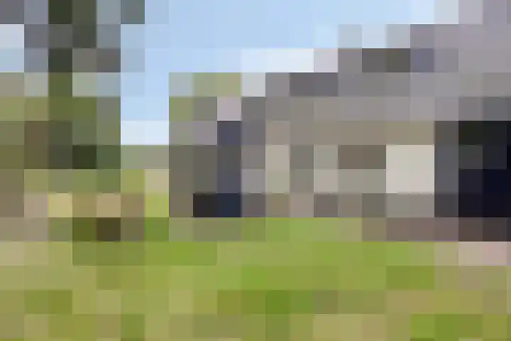 Berg 7 Budel thumbnail 59