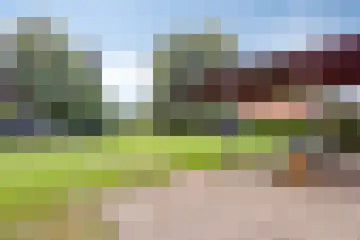 Berg 7 Budel thumbnail 60