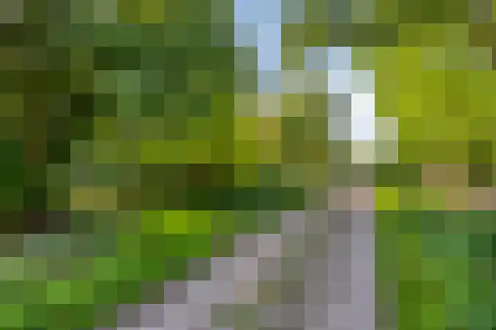Berg 7 Budel thumbnail 62