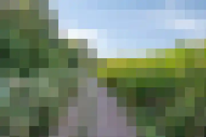 Berg 7 Budel thumbnail 63
