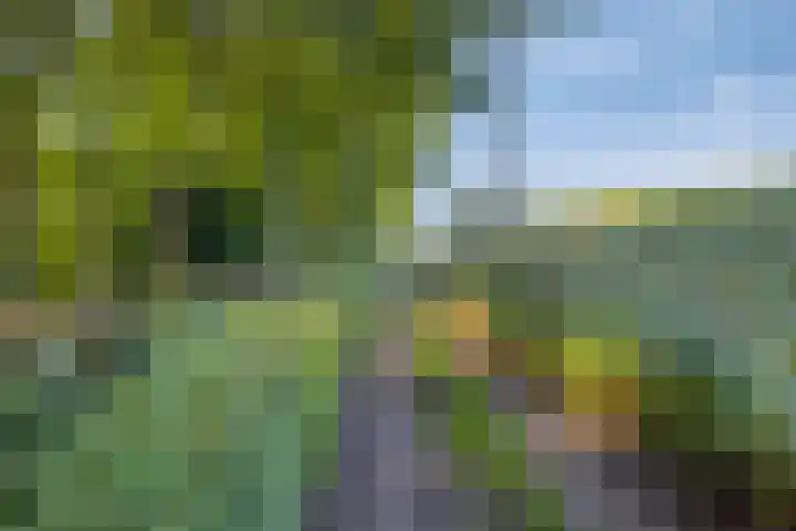 Berg 7 Budel thumbnail 64
