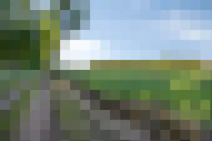 Berg 7 Budel thumbnail 65