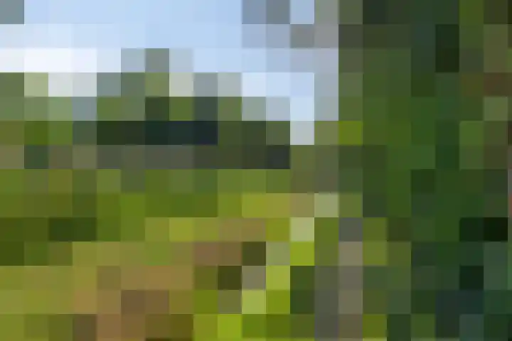 Berg 7 Budel thumbnail 66