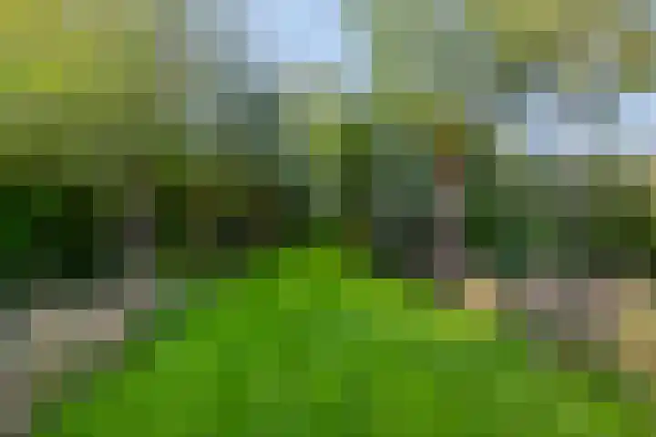 Berg 7 Budel thumbnail 67