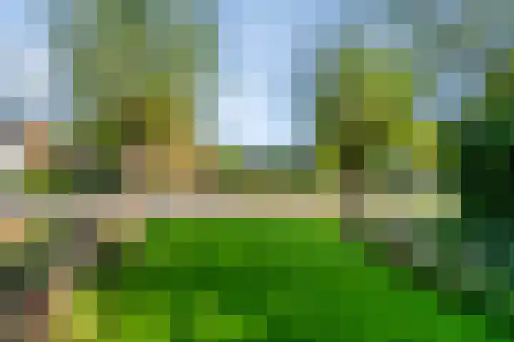 Berg 7 Budel thumbnail 68