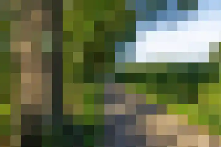 Berg 7 Budel thumbnail 69