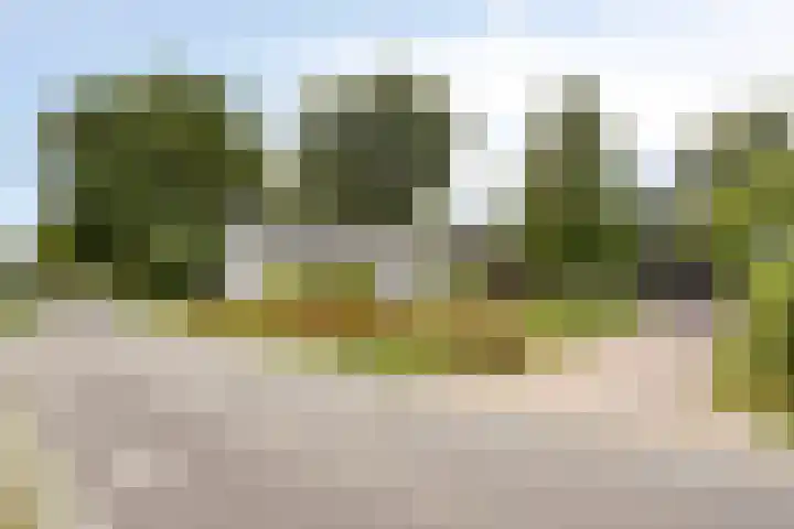 Berg 7 Budel thumbnail 7